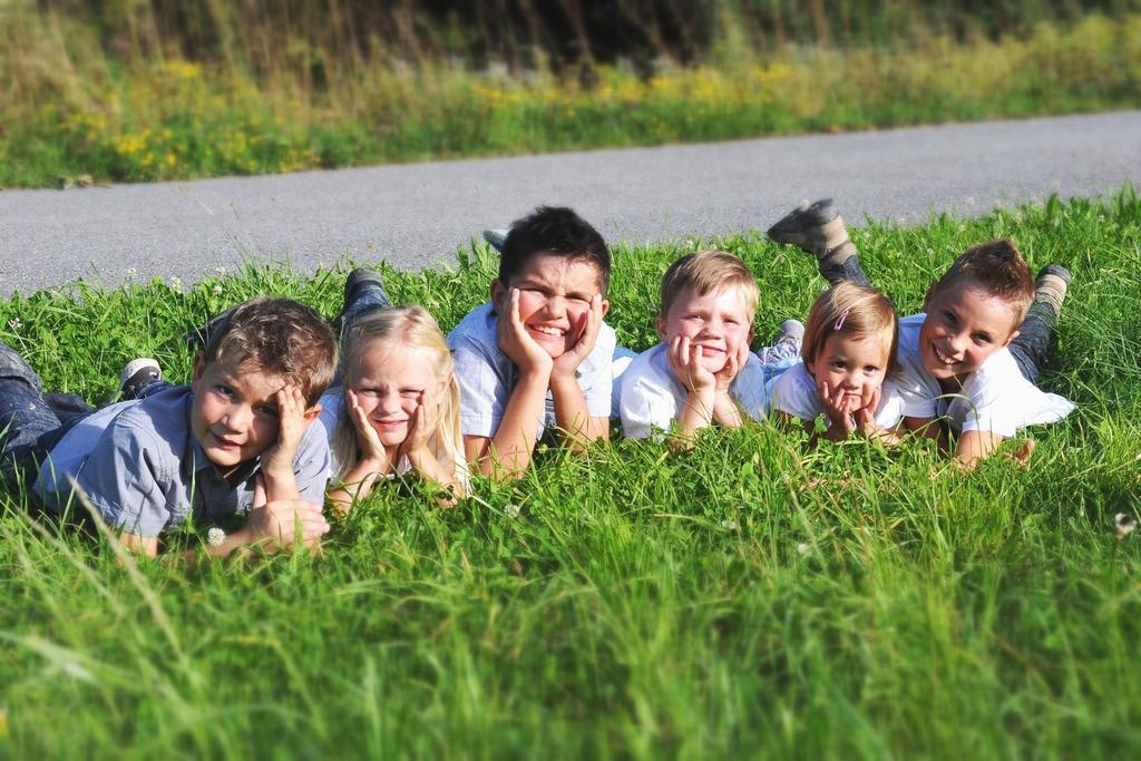 Ferienwohnungen Frick Möggers Pokoj fotografie